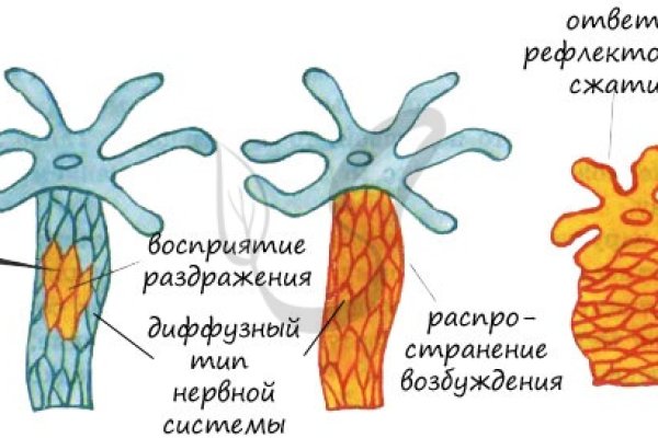 Kra9.at