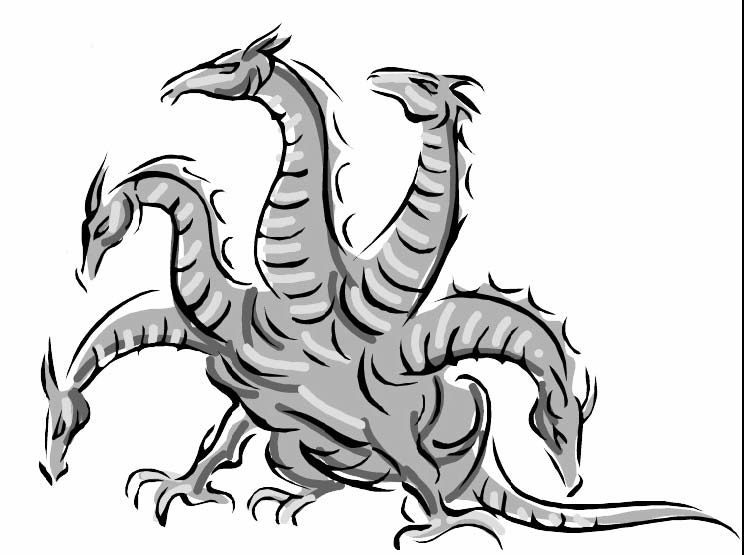 Kraken 24 top